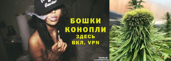 ALPHA PVP Белокуриха