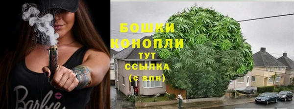 соль ск Балахна