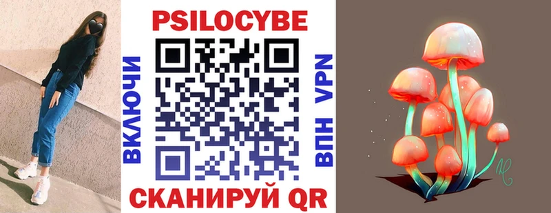Псилоцибиновые грибы Psilocybe  МЕГА tor  Ясногорск  купить  цена 